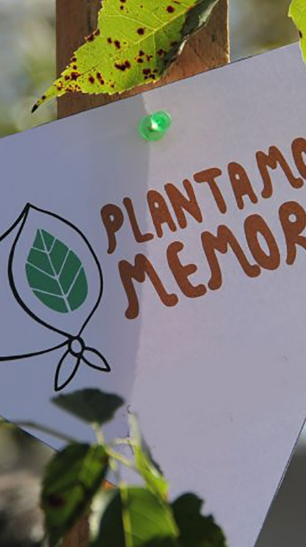 Beatriz Lourdes Hernández Hobbas